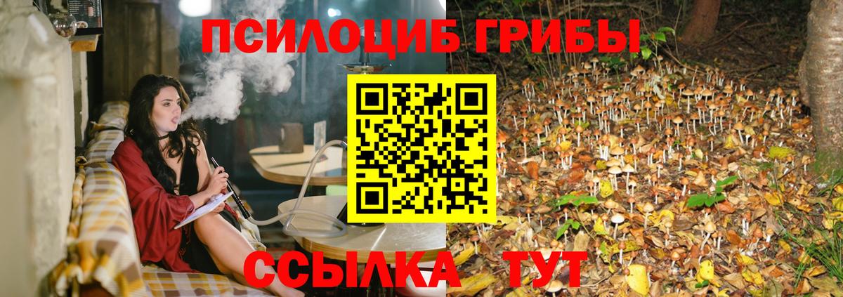 Галлюциногенные грибы прущие грибы Крымск